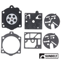 B1WD10HDC - Gasket and Diaphragm Kit 	