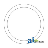 128484A1 - O-Ring