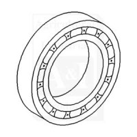 191250M1 - Bearing, Rear Differential Pinion 	