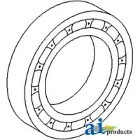 195494M1 - Bearing, PTO Drive Pinion 	