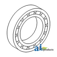 81T4625MA2 - Pilot Bearing, Differential Pinion 	