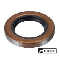 B1SN48 - Oil Seal 	