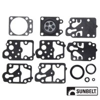 B1WD10WY - Gasket and Diaphragm Kit 	