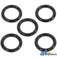 H36256 - O-Ring, Packing