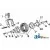15591BH - Lock Nut 3/4" - 10 	