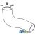 303145808 - Radiator Hose, Lower 	