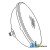 312554 - Sealed Beam Bulb (6 Volt) 	