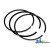 3144977R91 - Rings, Piston 	