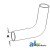 402188R1 - Radiator Hose, Lower 	