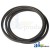 4157920 - Belt, Pump Drive