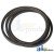 4157920 - Belt, Pump Drive