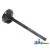 4802200 - Valve, Intake 	