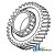 70255333 - Gear, 2nd Mainshaft 	
