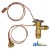 904-252 - Flare Type Externally Equalized- Expansion Valve 	