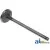 C5NN6507B - Valve, Intake 	