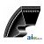 XPZ1237 - Metric Cogged V-Belt (10 X 1237)	