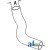 K200874 - Radiator Hose, Lower 	