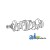 RE54883 - Crankshaft 	
