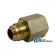 43A25 - Straight Solid Male Jic X Female Npt Adapter
