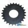 50X25 - Sprocket	