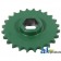 AE54301 - Sprocket; Starter Roll, 24 Tooth