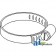 C16P - Hose Clamp (Qty of 10) 	