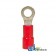 R03 - Ring Terminal, Insulated, Wire Size 22-16, Stud Size #6, 10