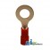 R05 - Ring Terminal, Insulated, Wire Size 22-16, Stud Size 1/4, 1