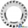 T20094 - Gear, Crankshaft 	