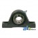 WGTZ10-I - 2 Bolt Flanged Bearing W/ Lock Collar, Re-Lubricatable