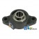 WGTZ19-I - 2 Bolt Flanged Bearing W/ Lock Collar, Re-Lubricatable